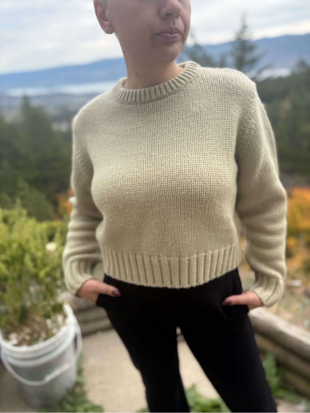 Zara Cropped Sweater